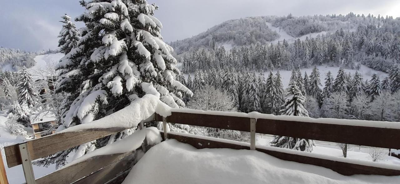 Les Oursons Du Hohneck Appartamento La Bresse Esterno foto